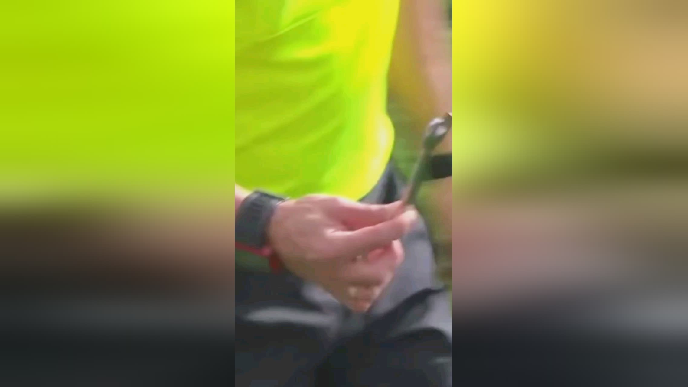 规划提