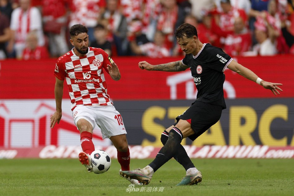 这无疑证明 这无疑证明